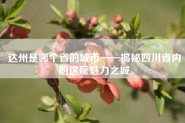 达州是哪个省的城市——揭秘四川省内的这座魅力之城